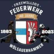 (c) Ff-woelsauerhammer.de